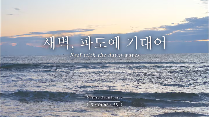 Nature Soundscape527 설악해수욕장 새벽 영상 썸네일